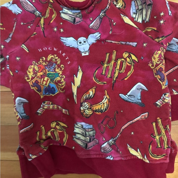 Bums & Roses Harry Potter Themed Jogger Set - Picture 3 of 5